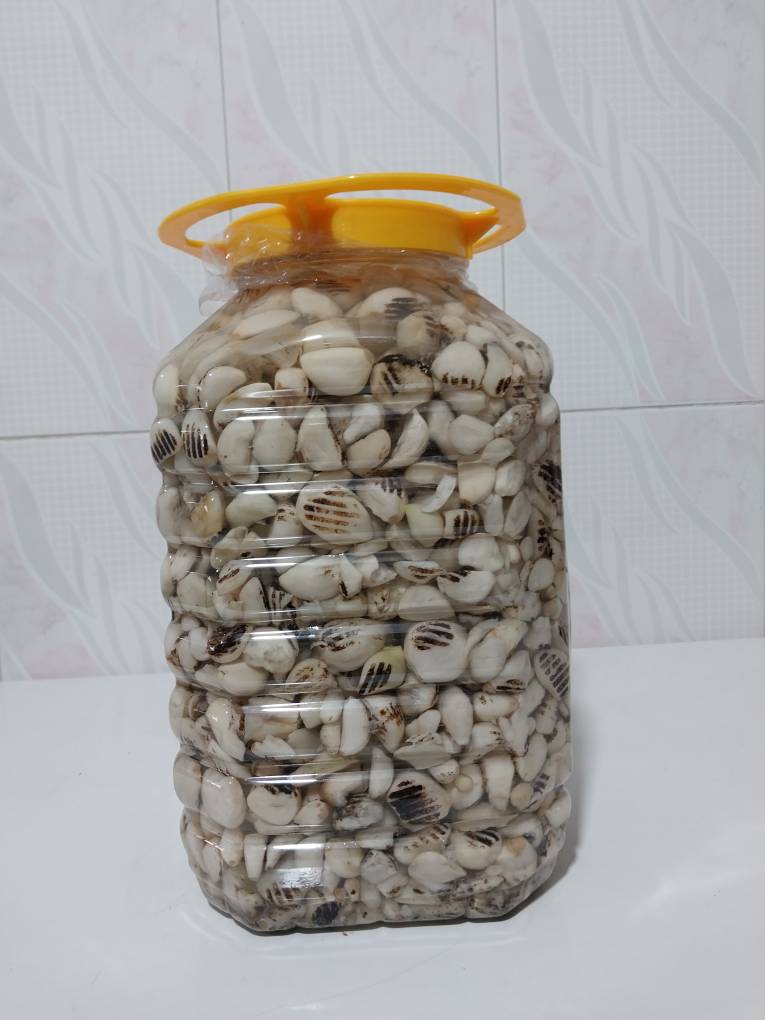 سیر کبابی سرکه ای