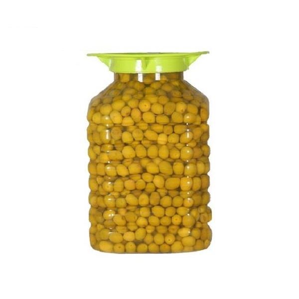 زیتون