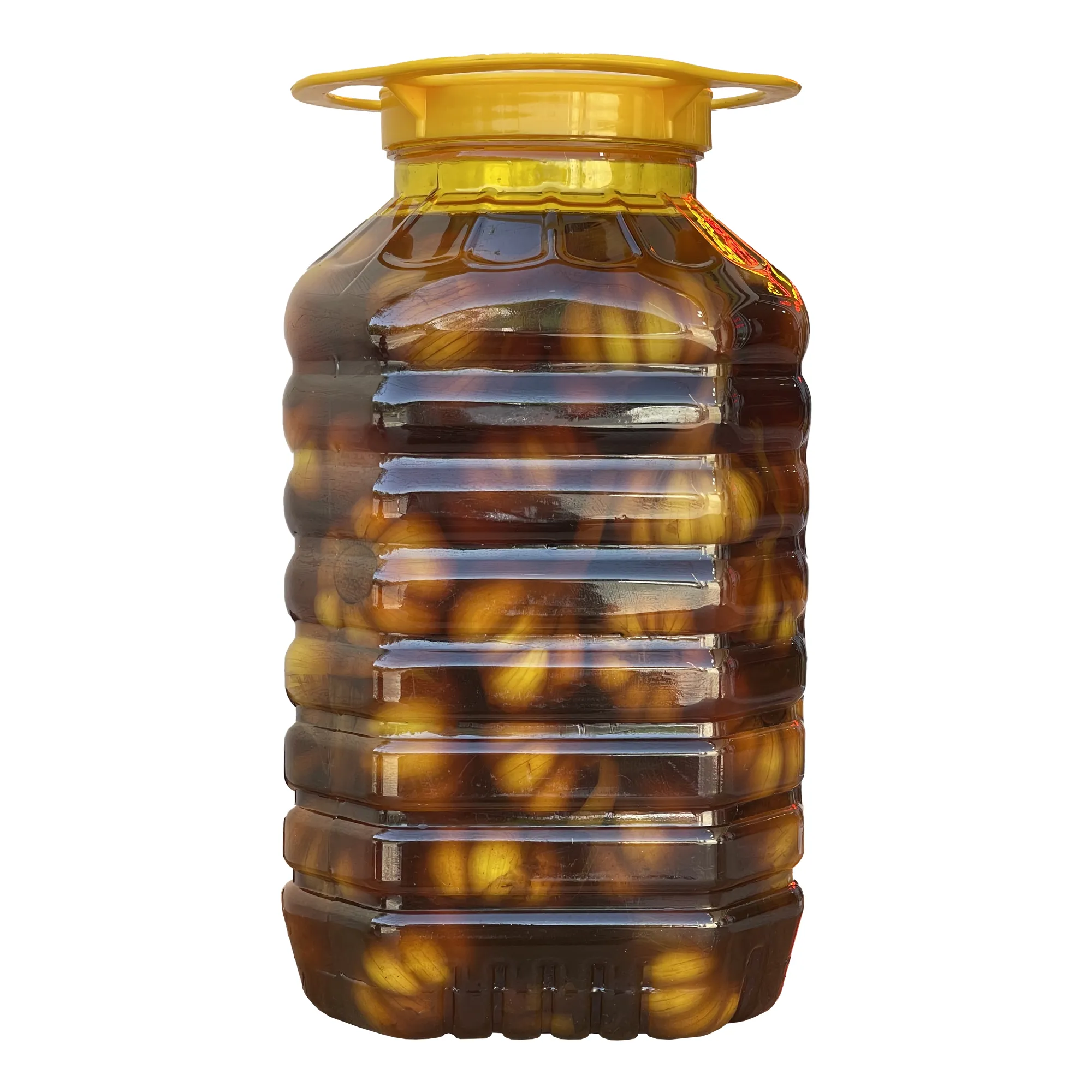 سیر
